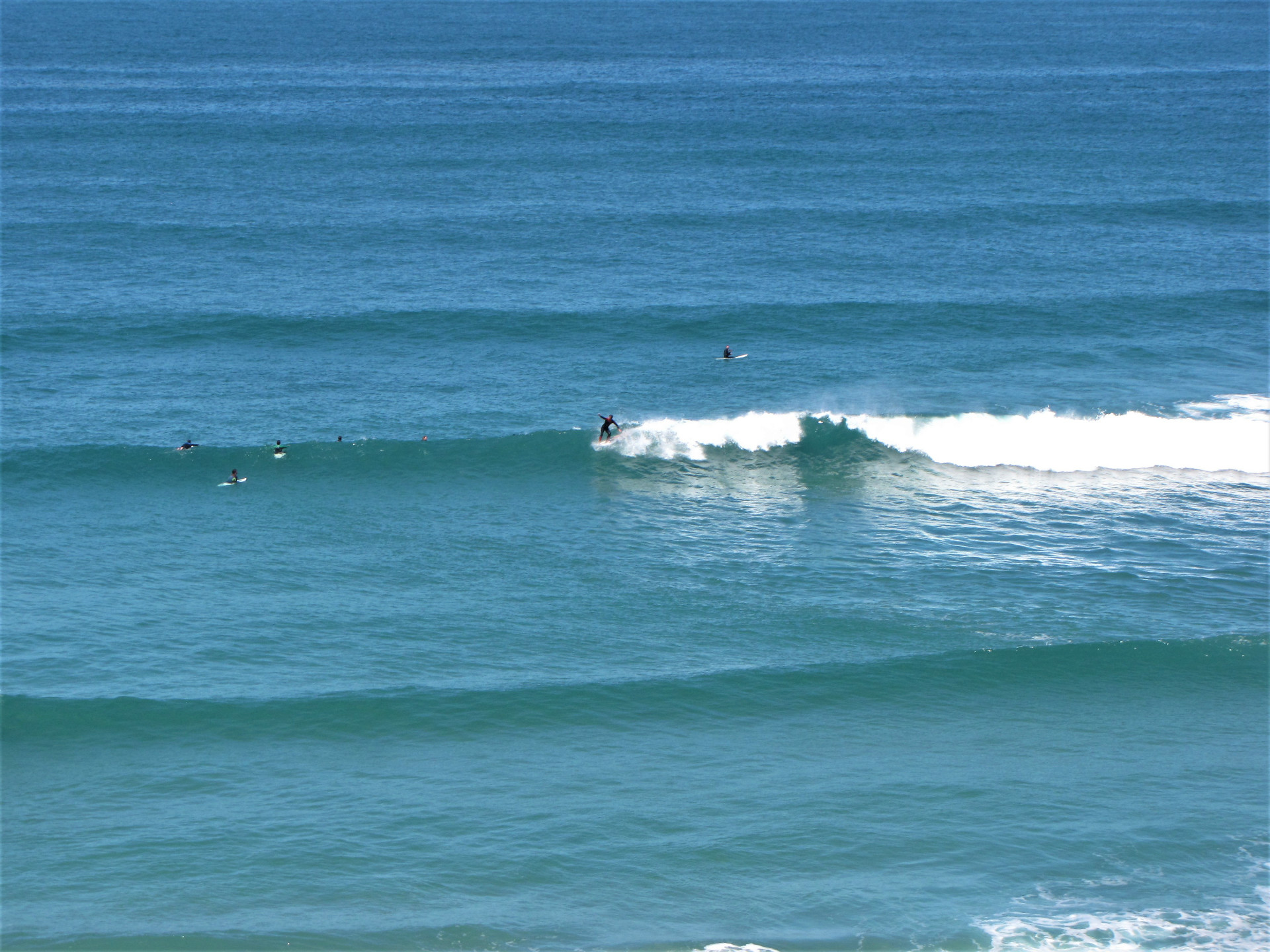 mellow wave surfguide